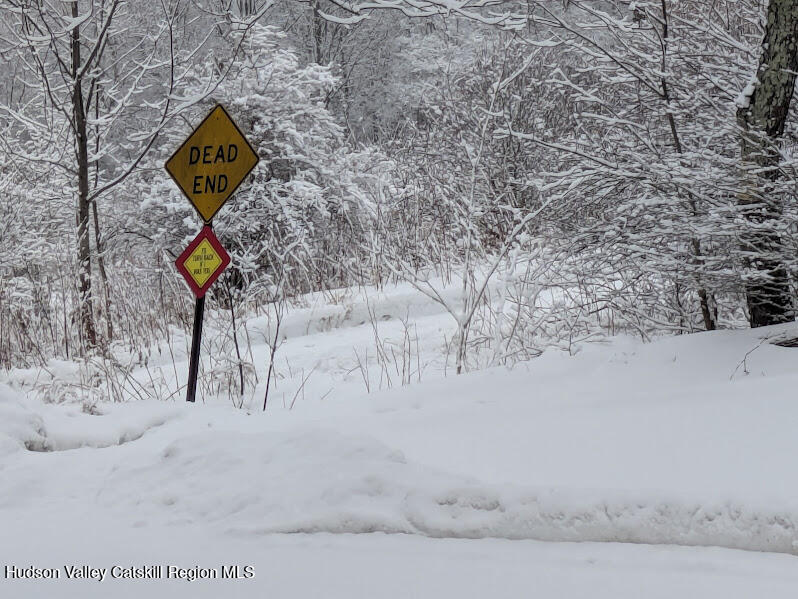 474 Dibble Road Hobart, NY 13788 - Photo 25 of 29 a view of road with trees in the background