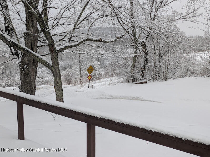 474 Dibble Road Hobart, NY 13788 - Photo 26 of 29 a view of a tree with snow on the road