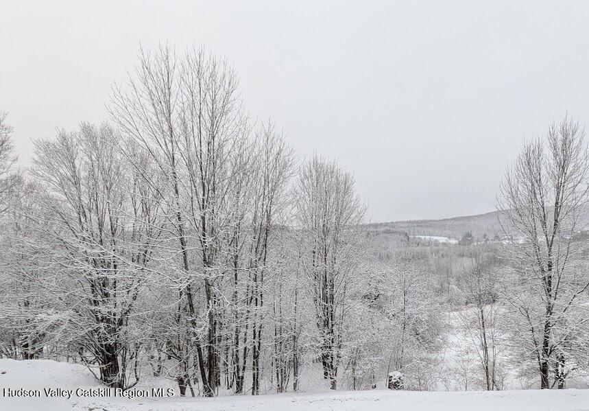 474 Dibble Road Hobart, NY 13788 - Photo 28 of 29 a view of a dry yard with trees