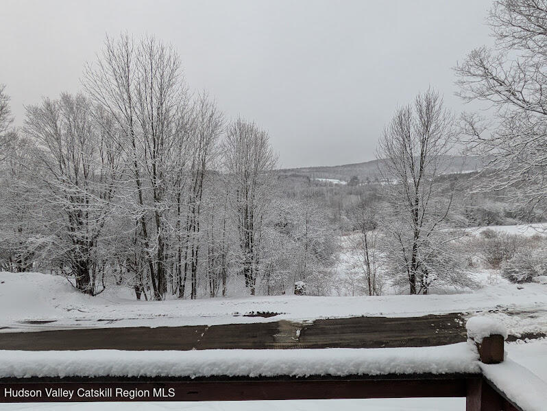 474 Dibble Road Hobart, NY 13788 - Photo 29 of 29 a view of a dry yard
