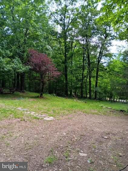 778 Falconwood Road Paw Paw, WV 25434 - Photo 21 of 25