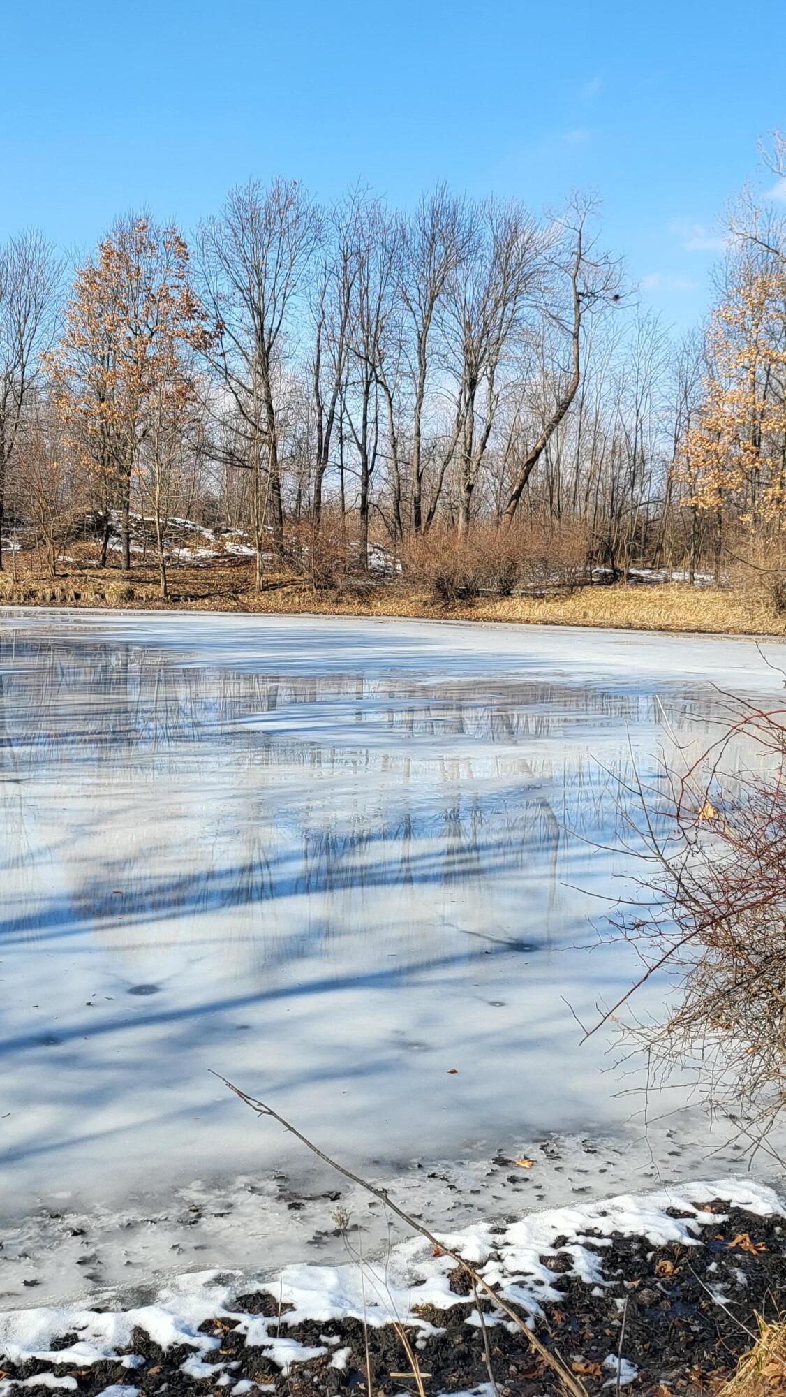 0 Below Road Grass Lake, MI 49240 - Photo 13 of 35 20230207_140806