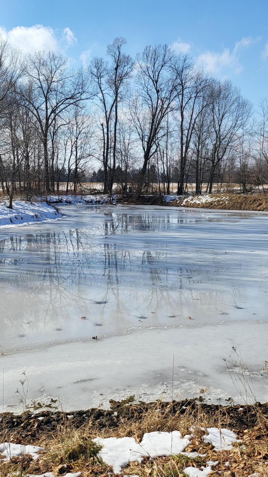 0 Below Road Grass Lake, MI 49240 - Photo 16 of 35 20230207_141006