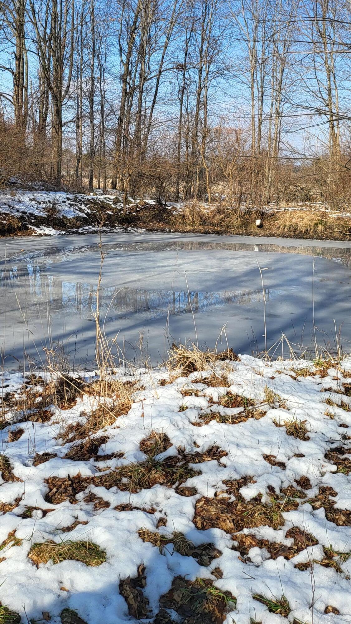0 Below Road Grass Lake, MI 49240 - Photo 19 of 35 20230207_141131