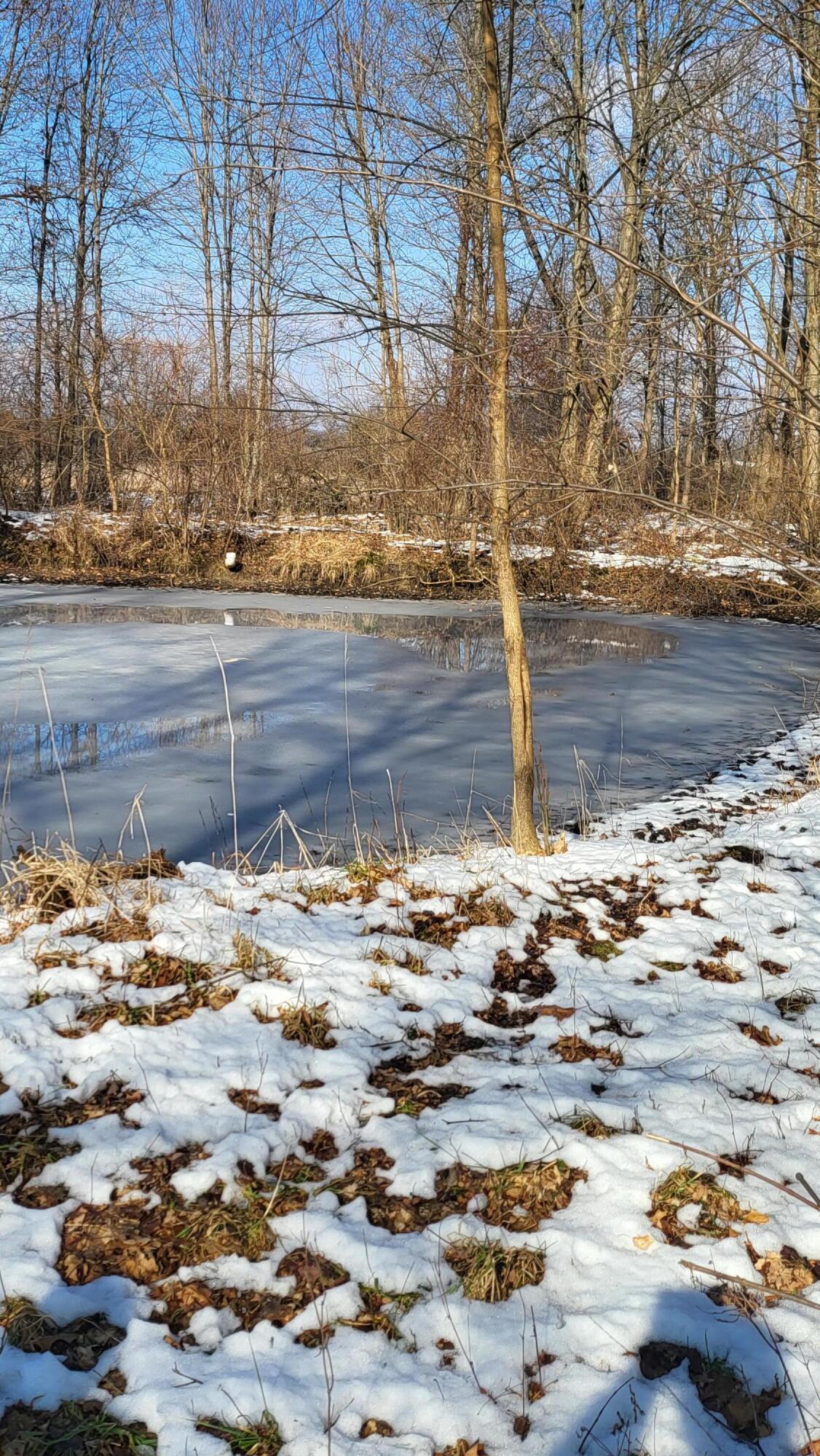0 Below Road Grass Lake, MI 49240 - Photo 20 of 35 20230207_141136
