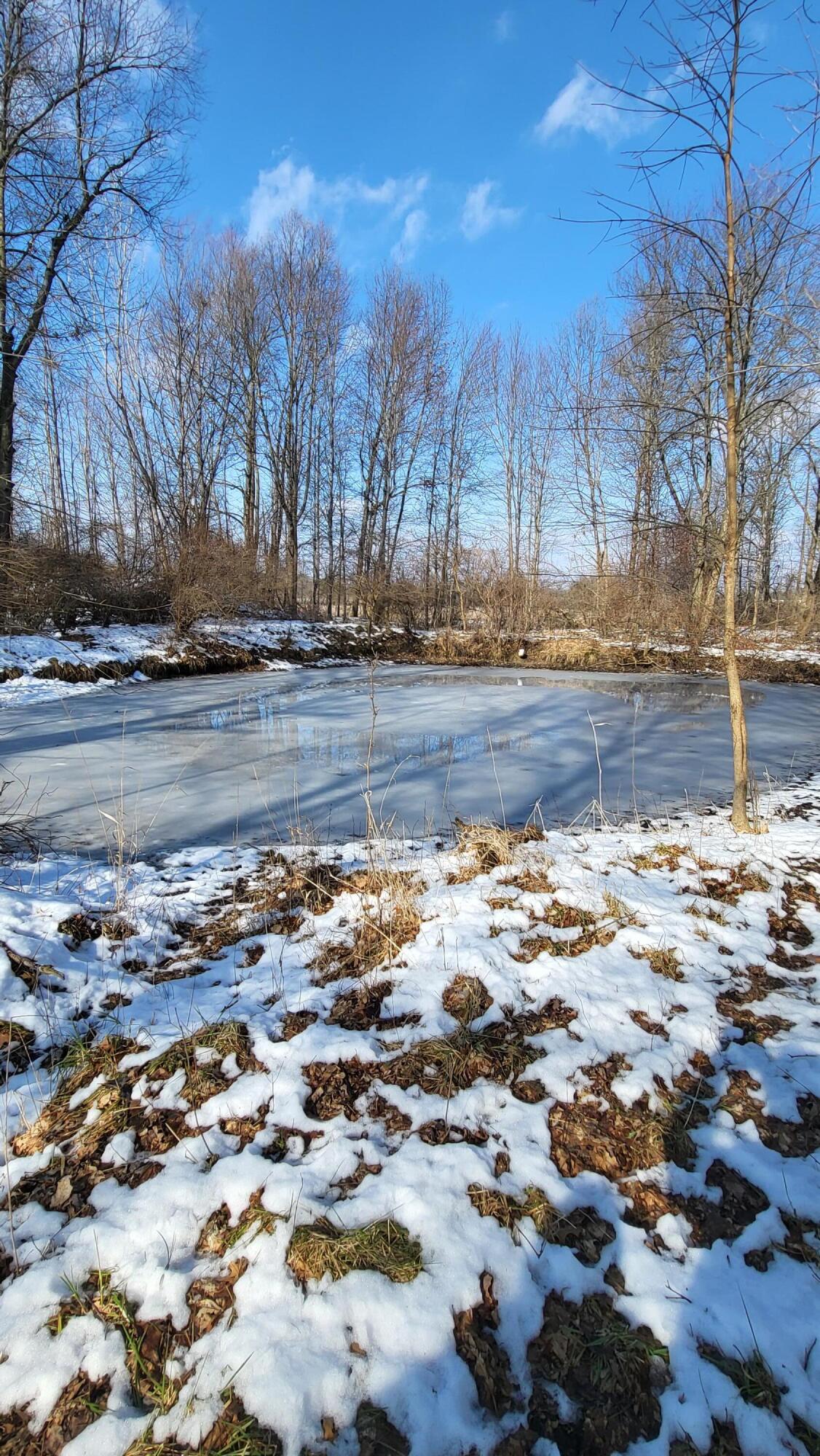 0 Below Road Grass Lake, MI 49240 - Photo 21 of 35 20230207_141146