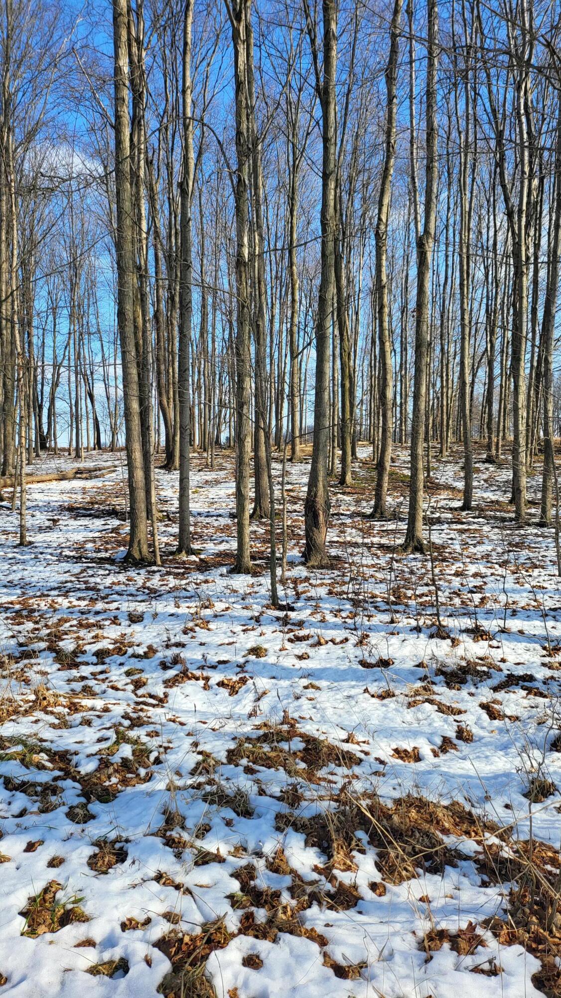 0 Below Road Grass Lake, MI 49240 - Photo 23 of 35 20230207_141629