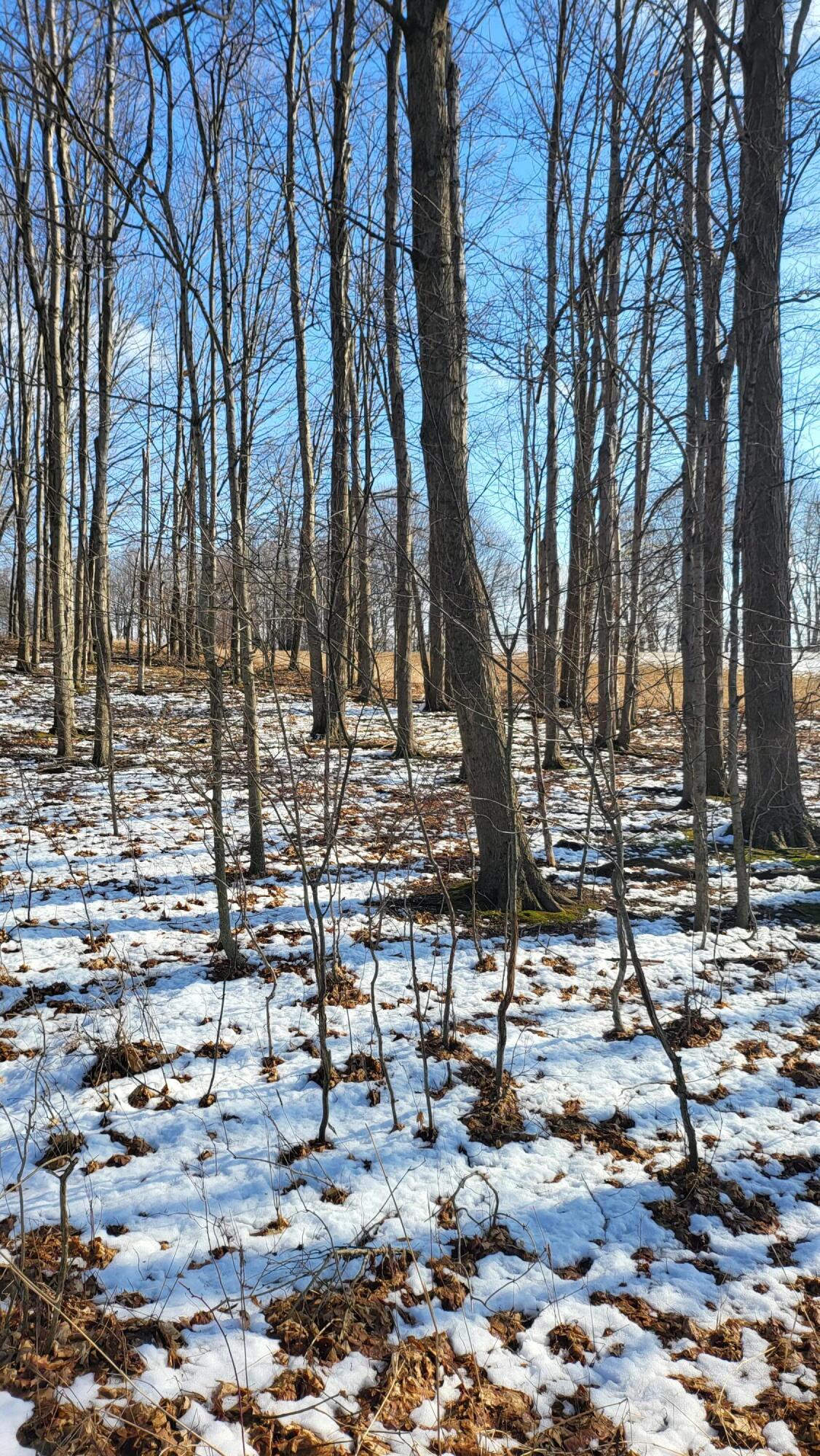 0 Below Road Grass Lake, MI 49240 - Photo 24 of 35 20230207_141632