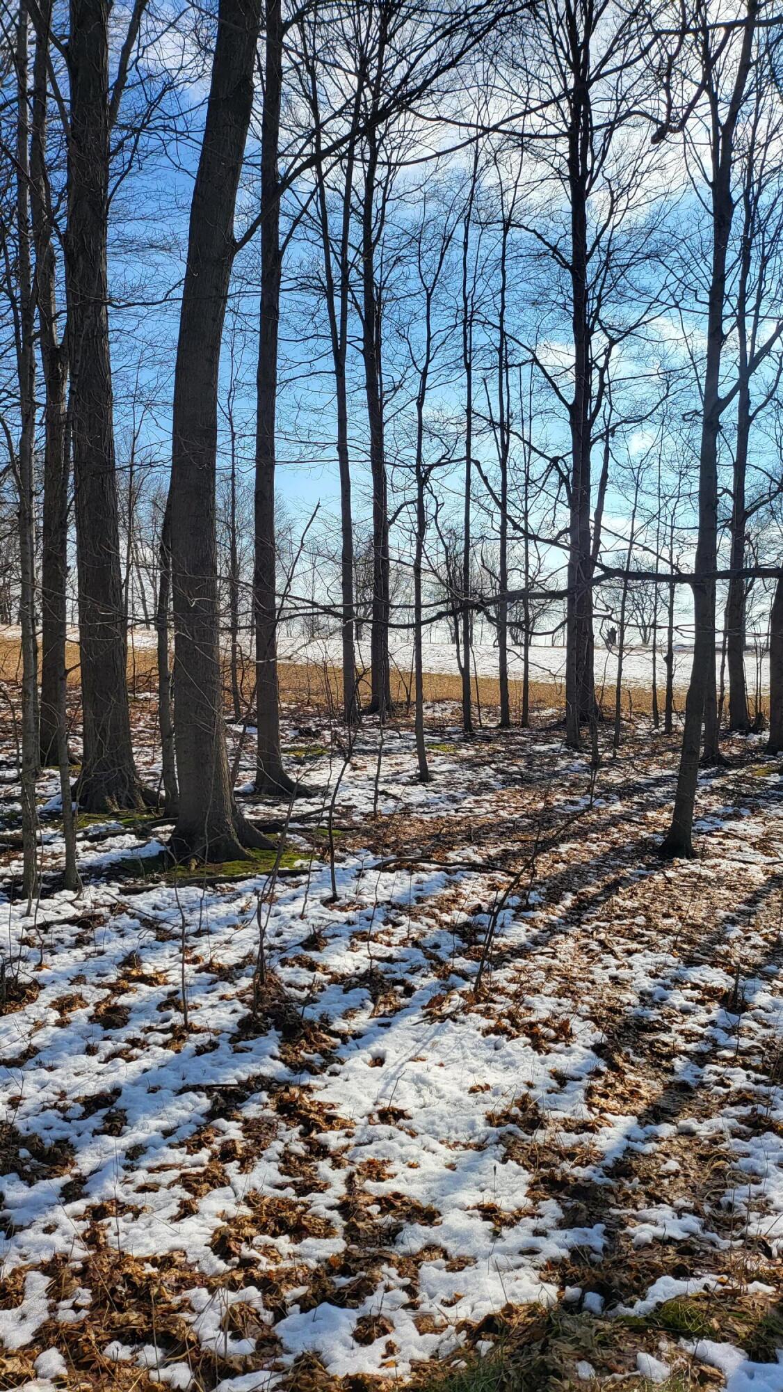 0 Below Road Grass Lake, MI 49240 - Photo 25 of 35 20230207_141635