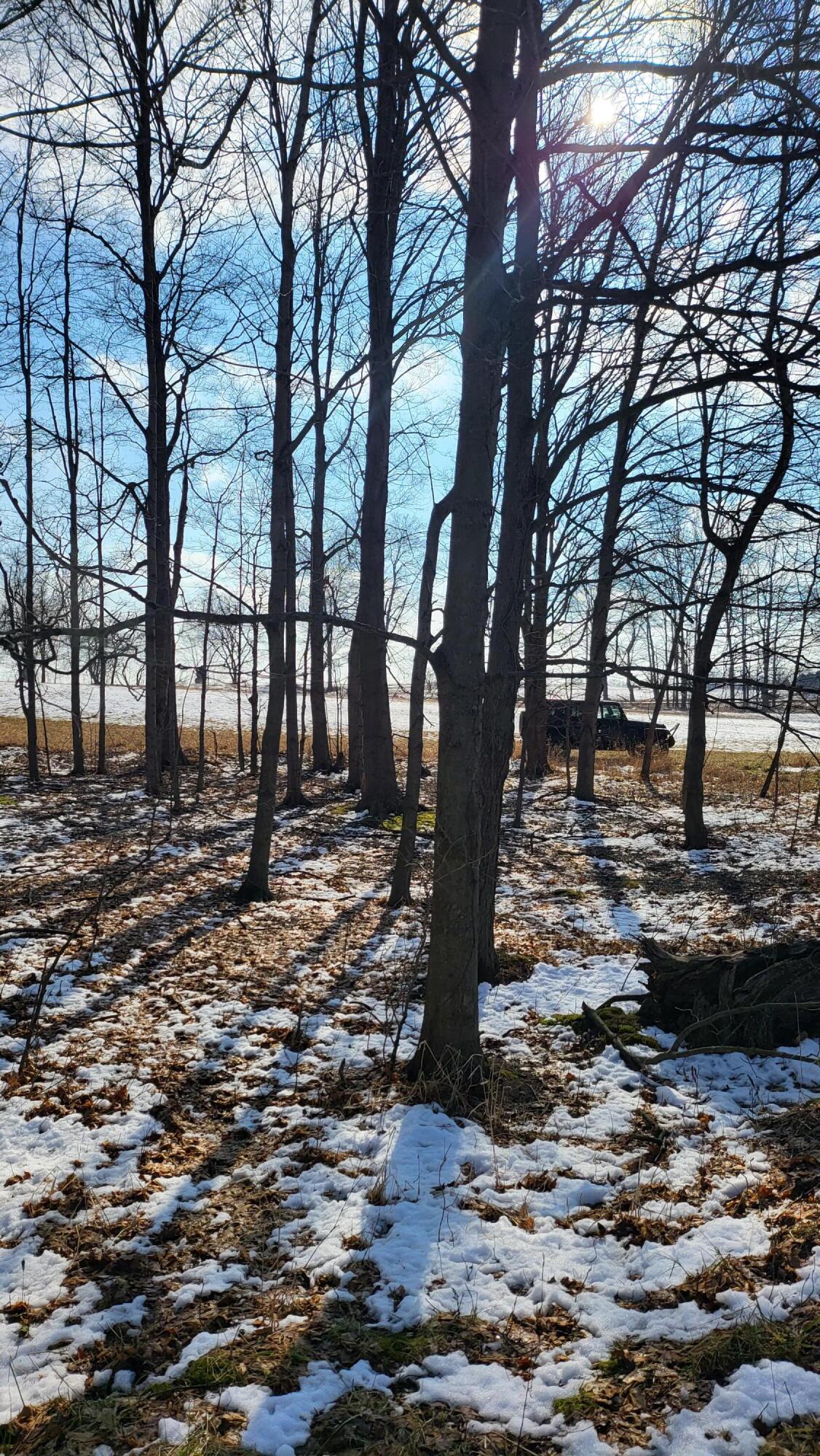0 Below Road Grass Lake, MI 49240 - Photo 26 of 35 20230207_141637