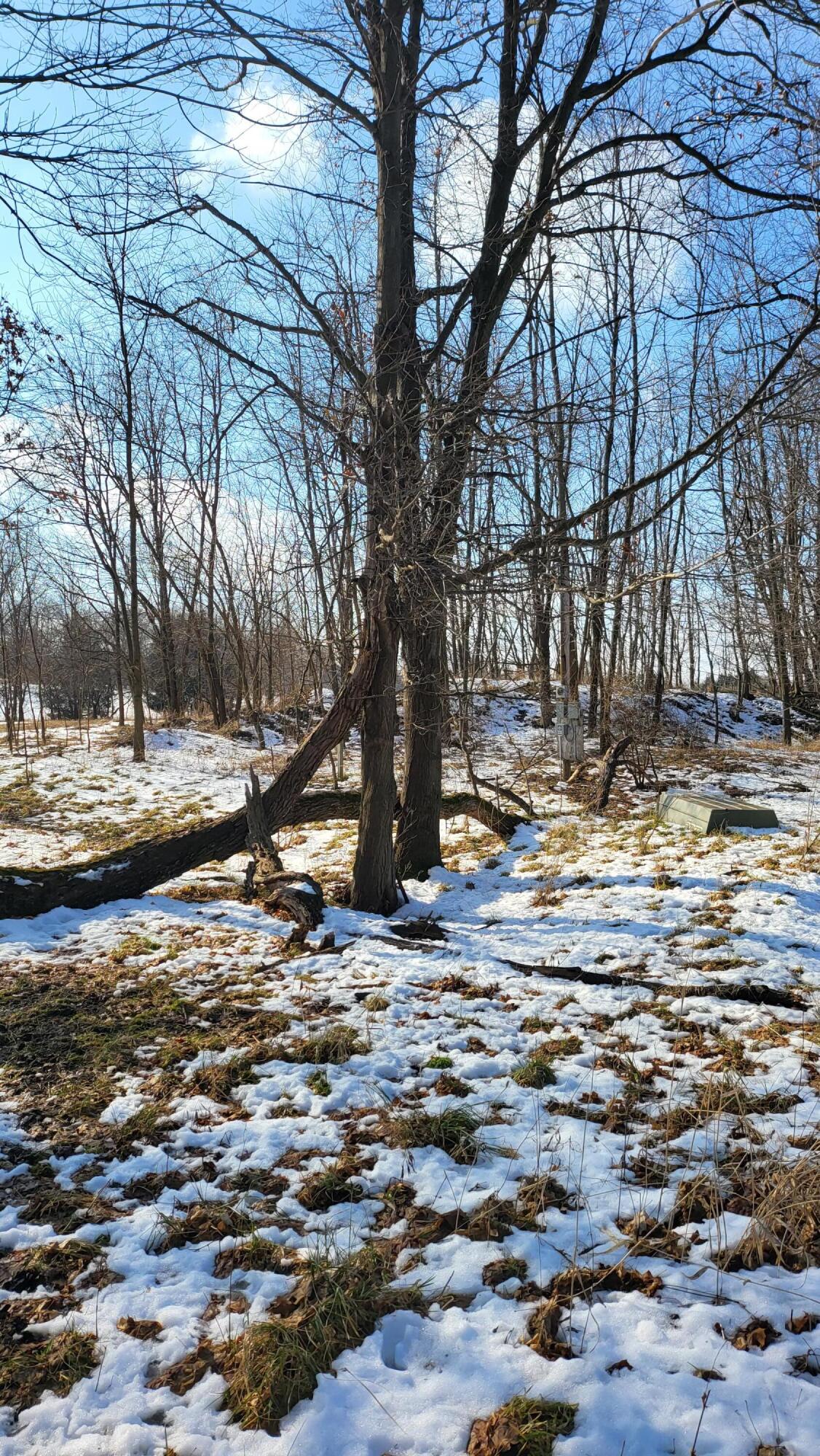 0 Below Road Grass Lake, MI 49240 - Photo 28 of 35 20230207_141643
