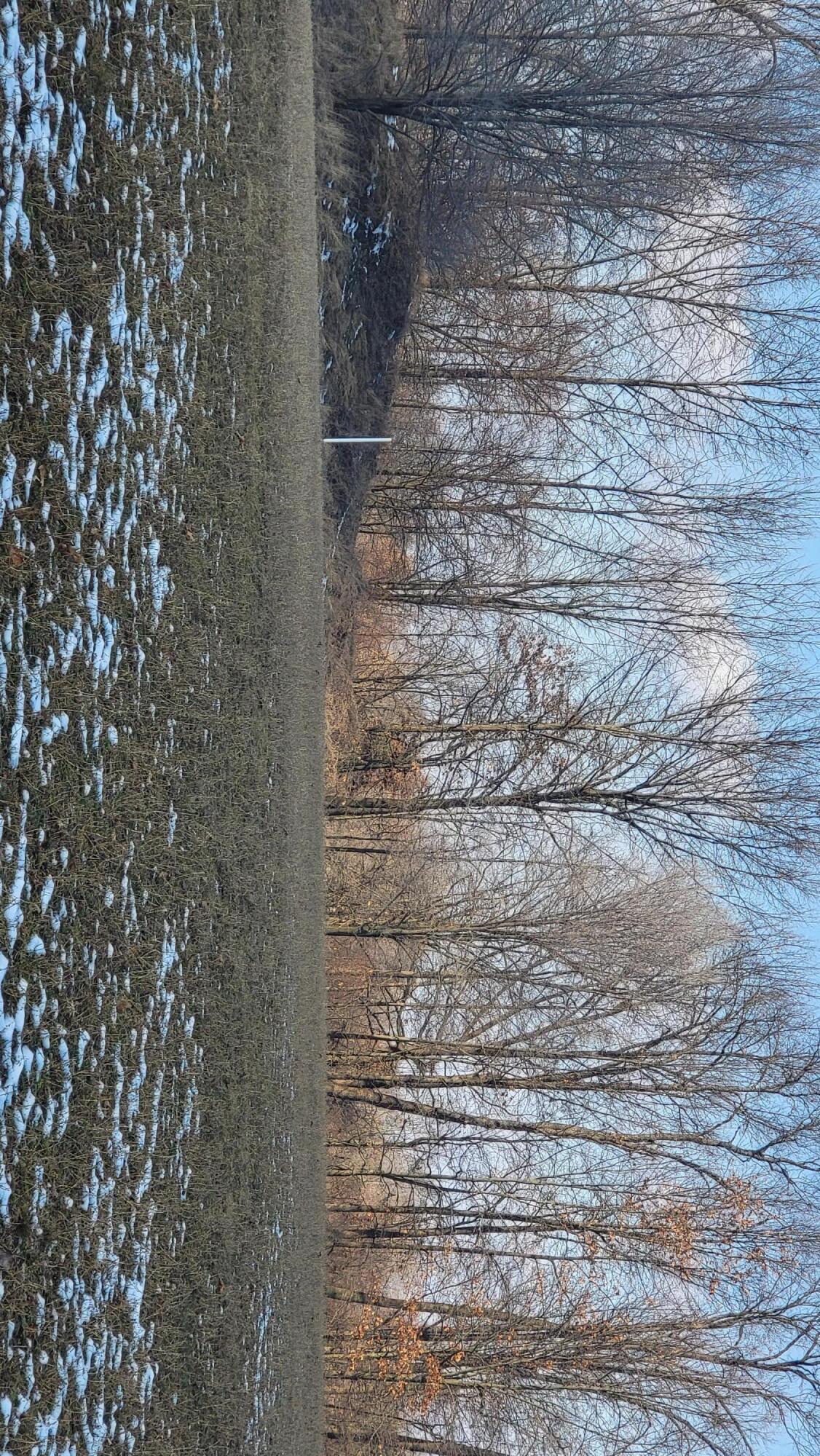 0 Below Road Grass Lake, MI 49240 - Photo 32 of 35 20230207_142004