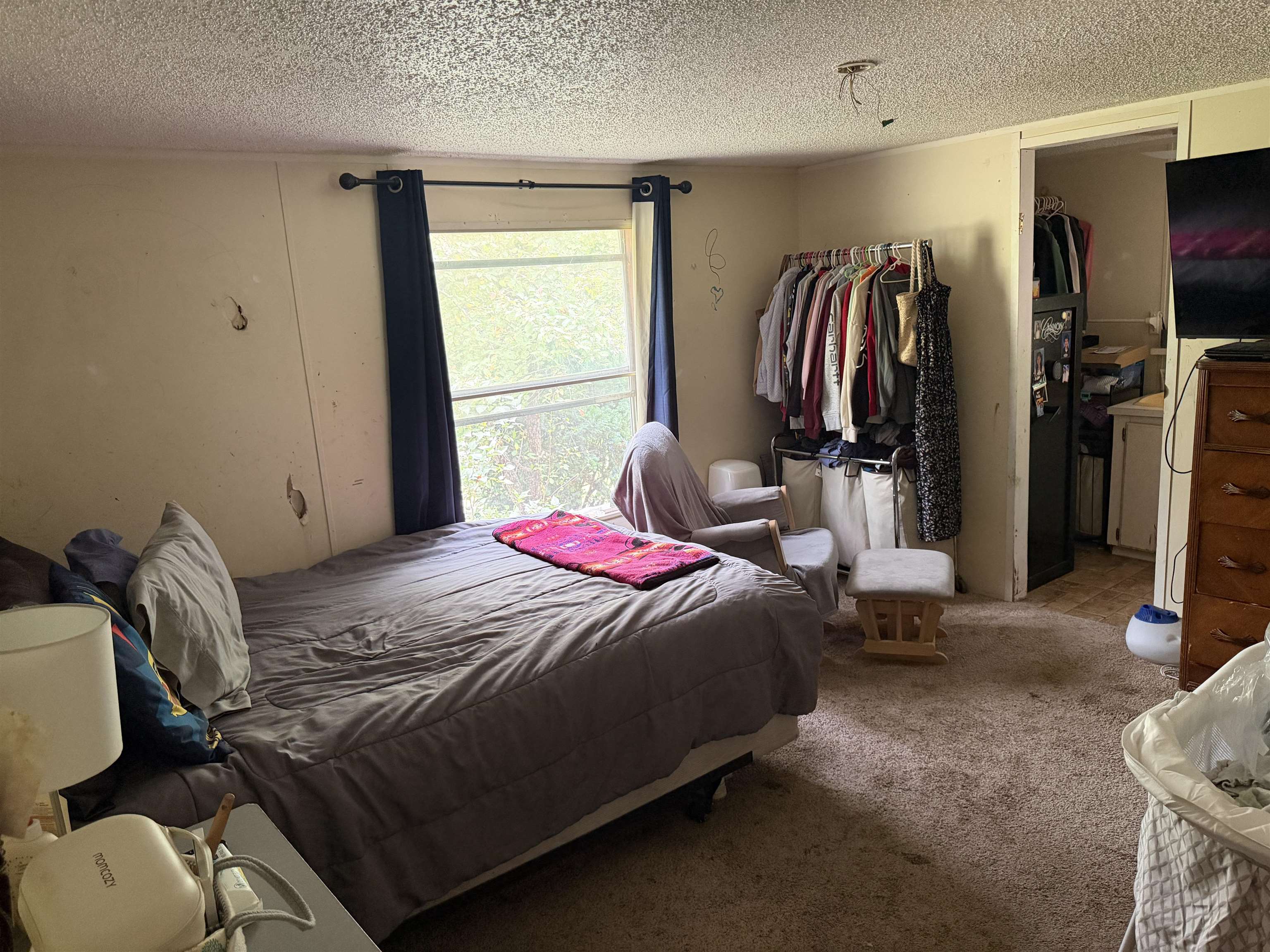 23567 Faylor Road Copemish, MI 49625 - Photo 29 of 34 1949000-e4dd2efe-a4ad-4771-9673-f72fdbd7a5c2.JPG