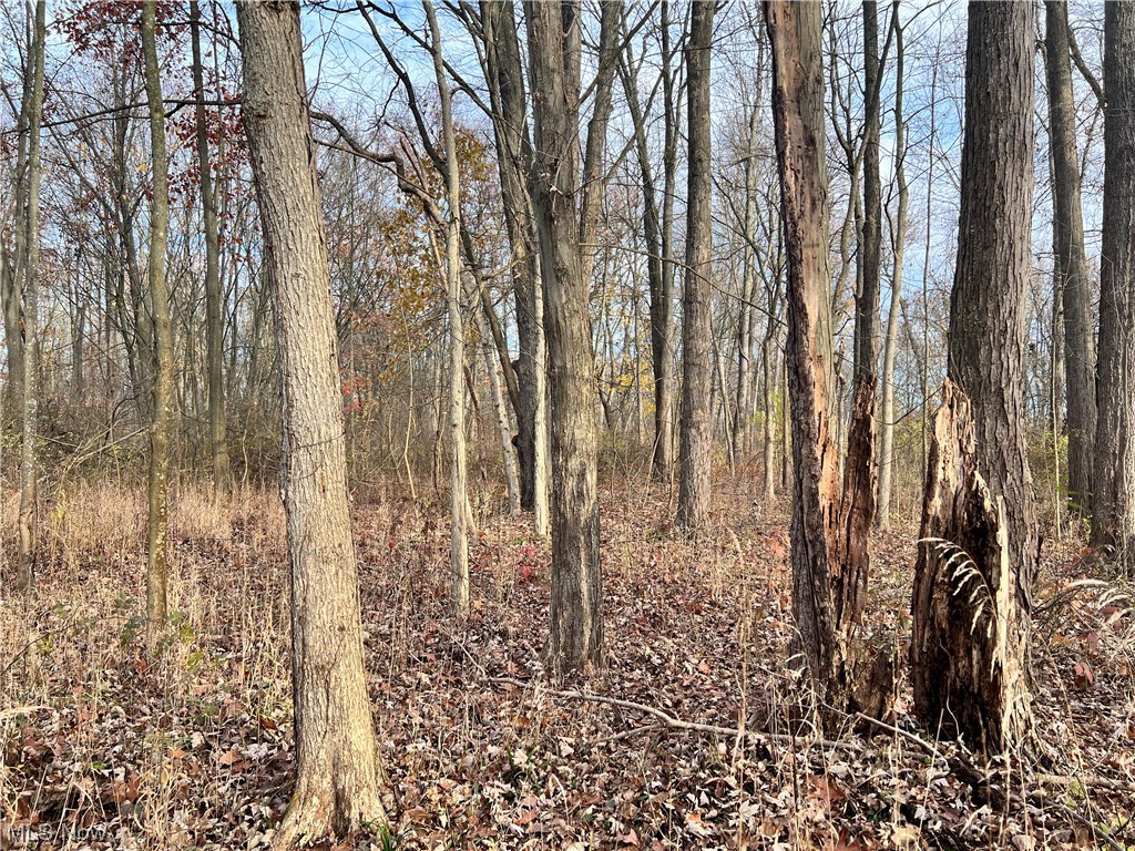 7622 Garman Road Burbank, OH 44214 - Photo 7 of 14 View from the ground