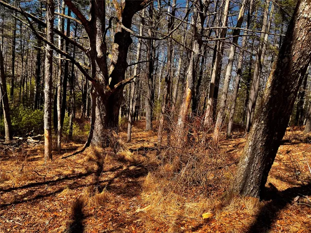 a view of a backyard of the house