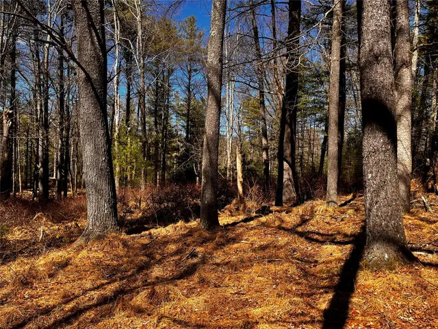 a view of outdoor space with trees