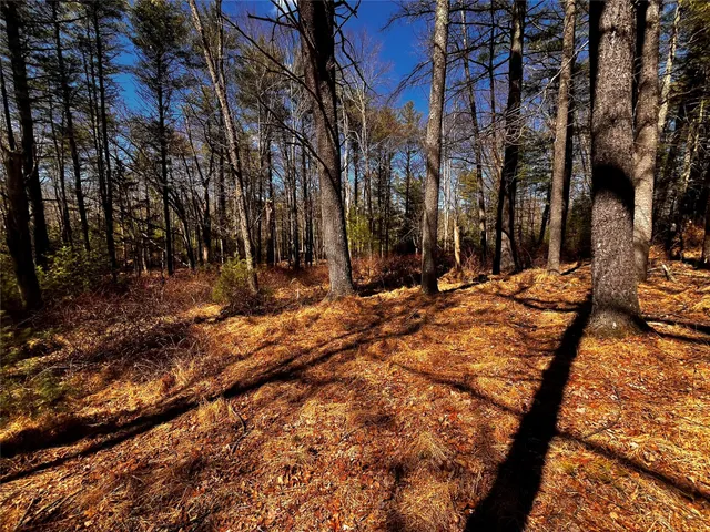 a view of outdoor space with trees