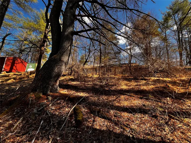a view of outdoor space with trees