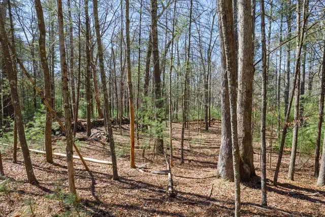 a view of outdoor space with lots of trees