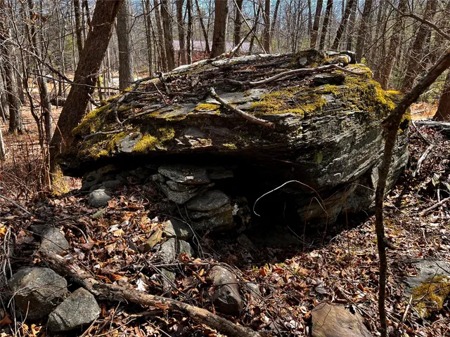 a backyard of a house