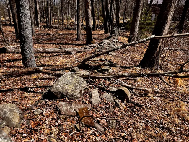 a view of an outdoor space