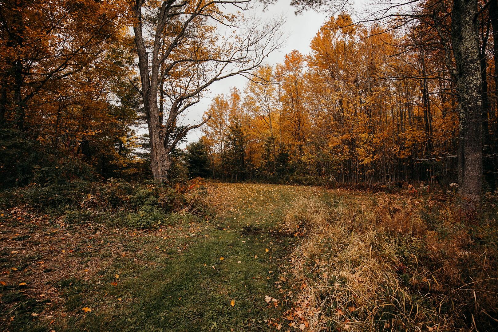 784 Farmington Falls Road Farmington, ME 04938 - Photo 51 of 53 46