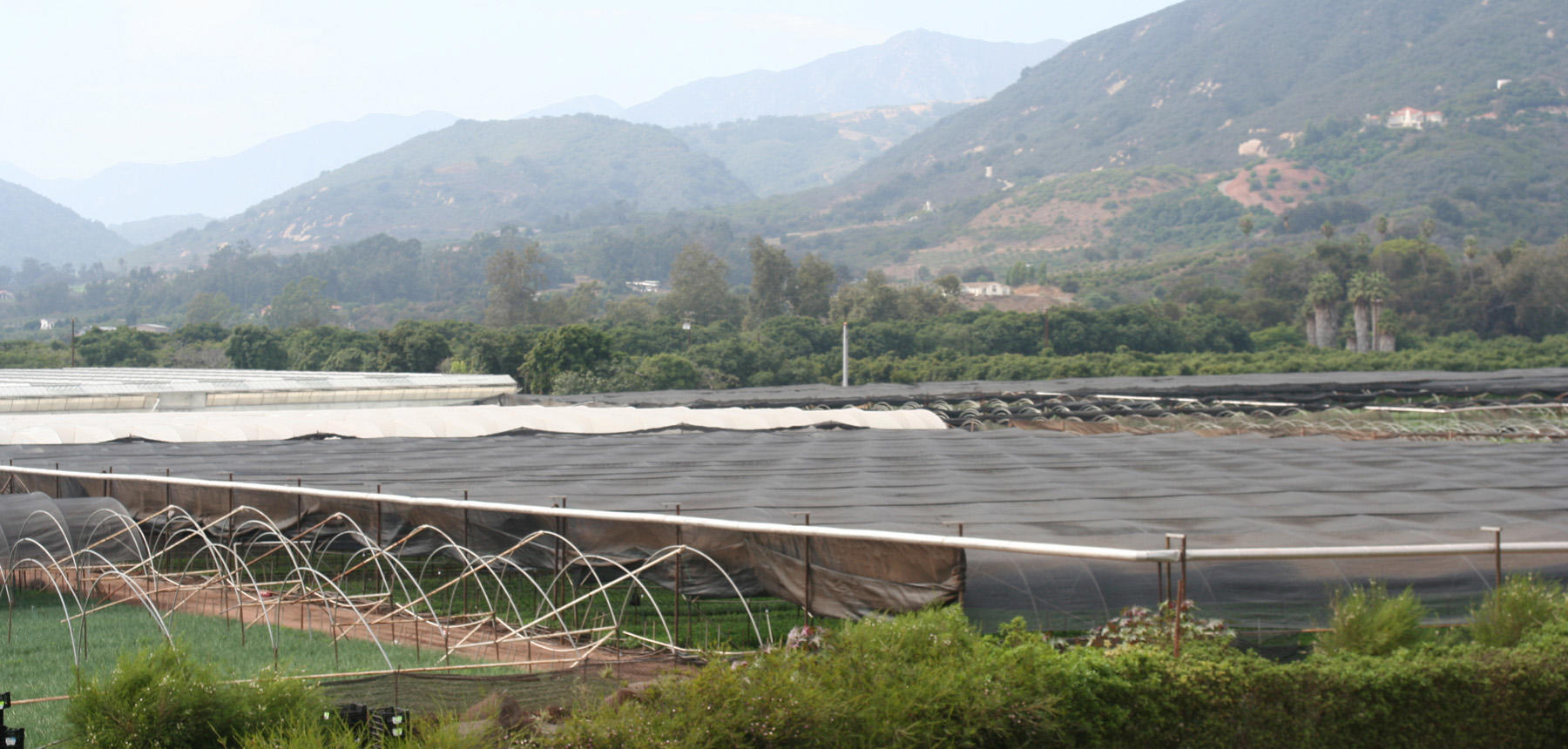 Hoop Houses 5300 Foothill Rd