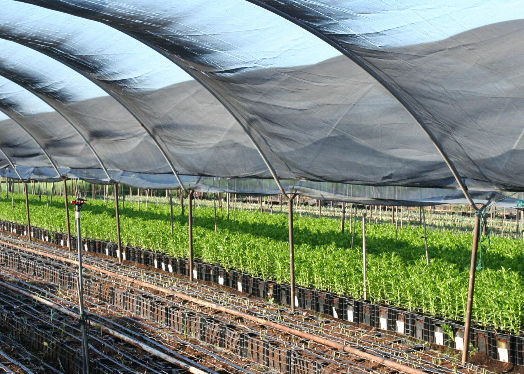 5300 Foothill Road Carpinteria, CA 93013 - Photo 2 of 10 5300 Foothill Rd