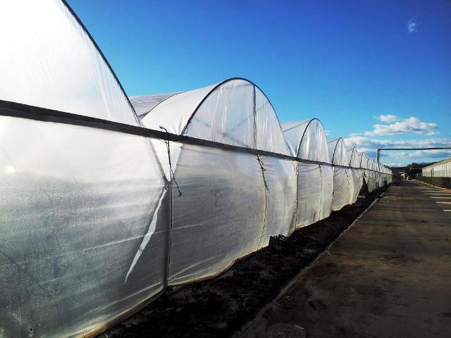 5300 Foothill Road Carpinteria, CA 93013 - Photo 4 of 10 HoopHouses