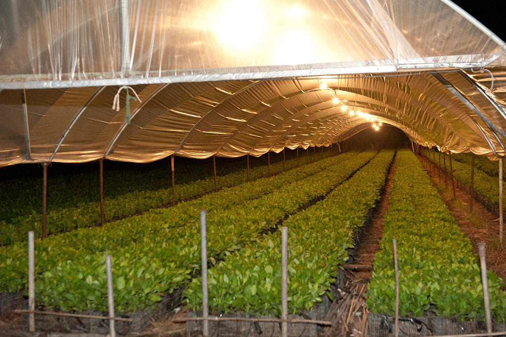 5300 Foothill Road Carpinteria, CA 93013 - Photo 6 of 10 HoopswLights