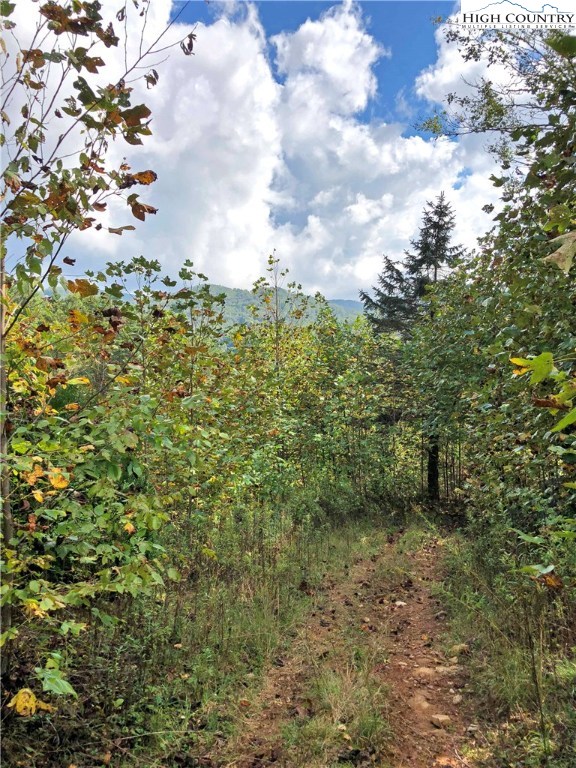Townsend Trail Boone, NC 28607 - Photo 11 of 35 Gallery Image 11
