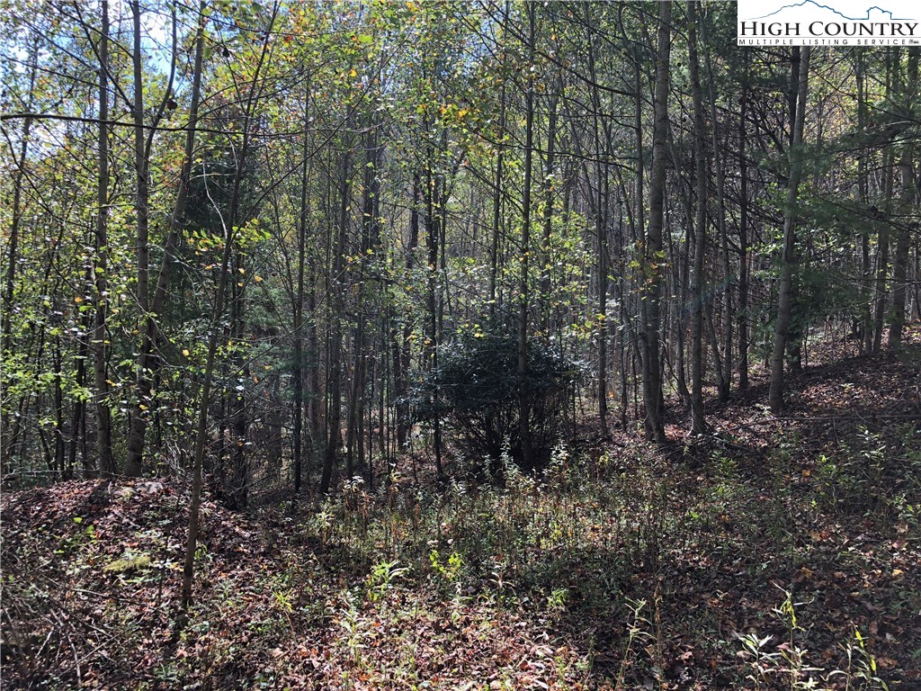 Townsend Trail Boone, NC 28607 - Photo 17 of 35 Gallery Image 17