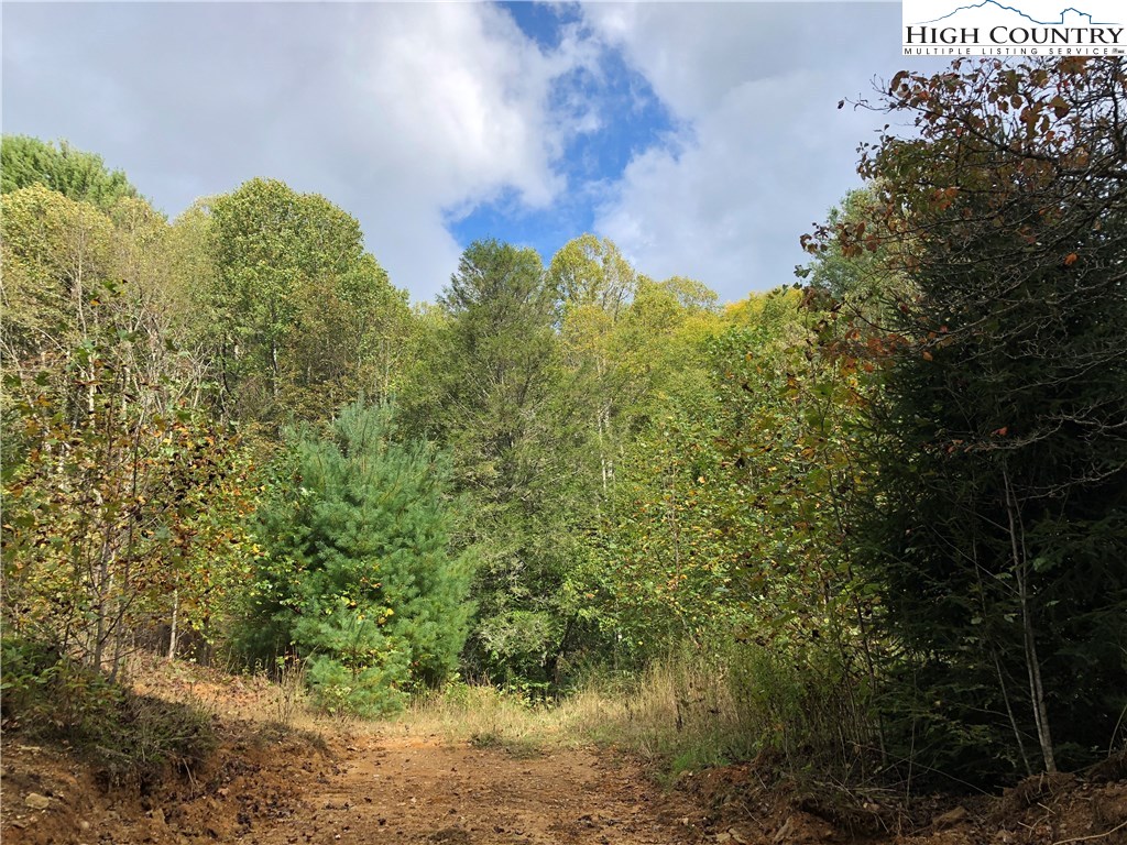 Townsend Trail Boone, NC 28607 - Photo 20 of 35 Gallery Image 20