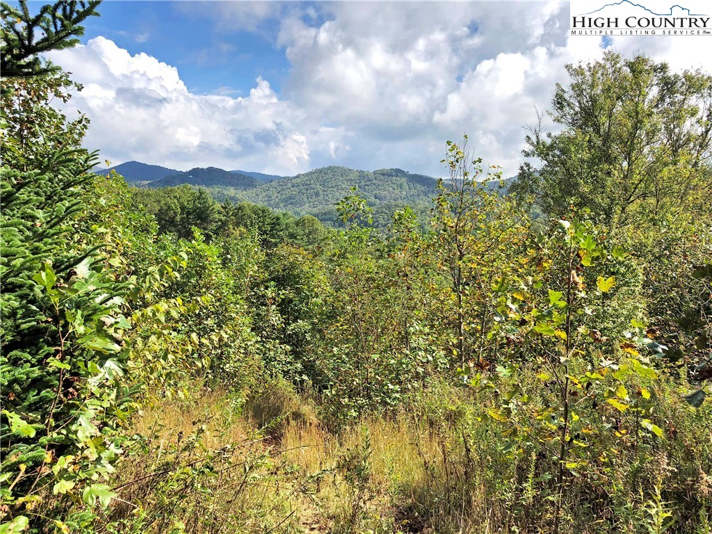 Townsend Trail Boone, NC 28607 - Photo 2 of 35 Gallery Image 2