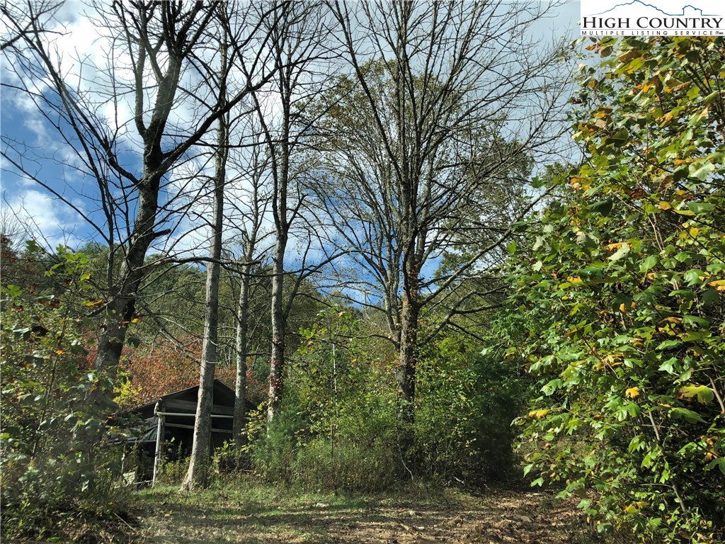 Townsend Trail Boone, NC 28607 - Photo 21 of 35 Gallery Image 21