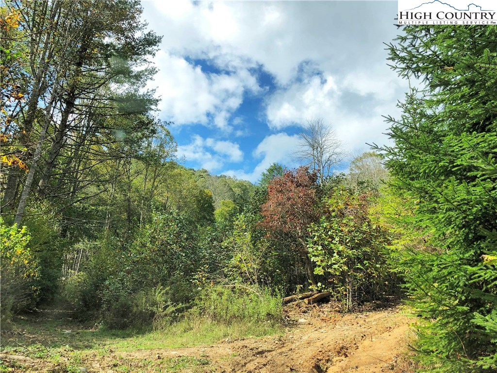 Townsend Trail Boone, NC 28607 - Photo 24 of 35 Gallery Image 24