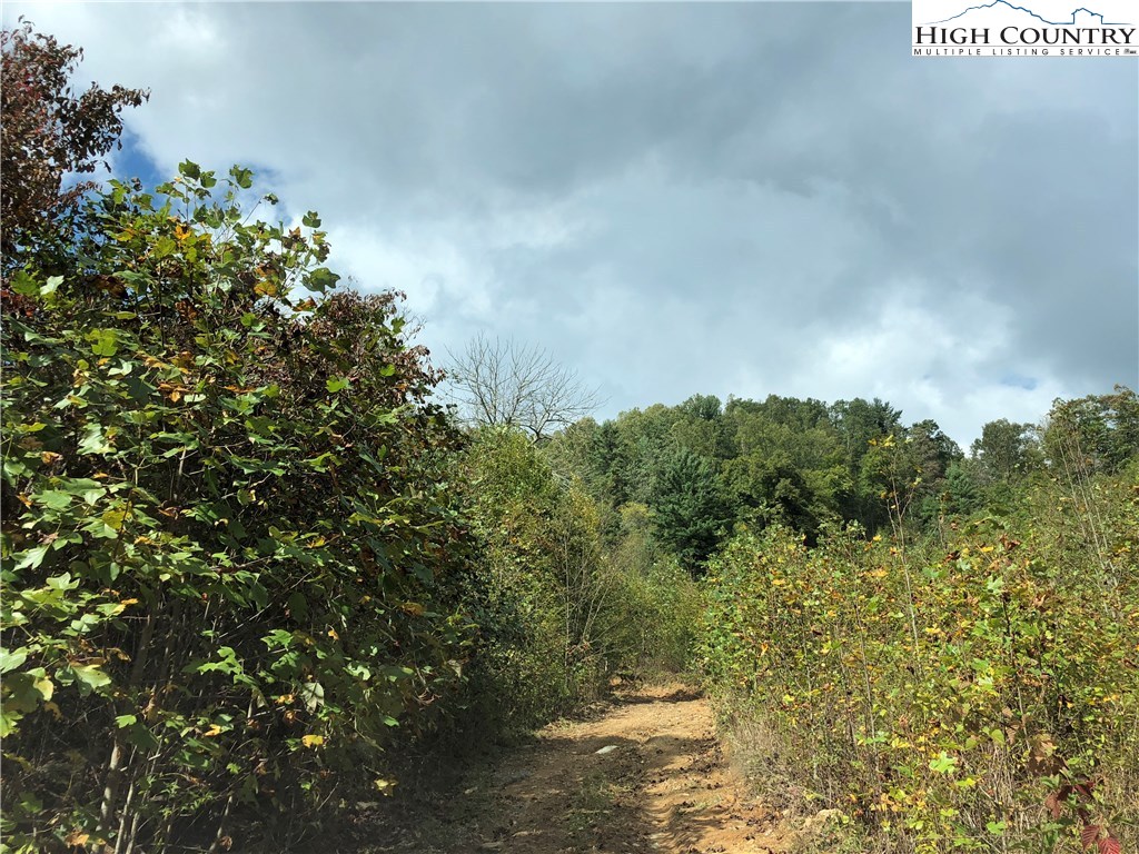 Townsend Trail Boone, NC 28607 - Photo 25 of 35 Gallery Image 25