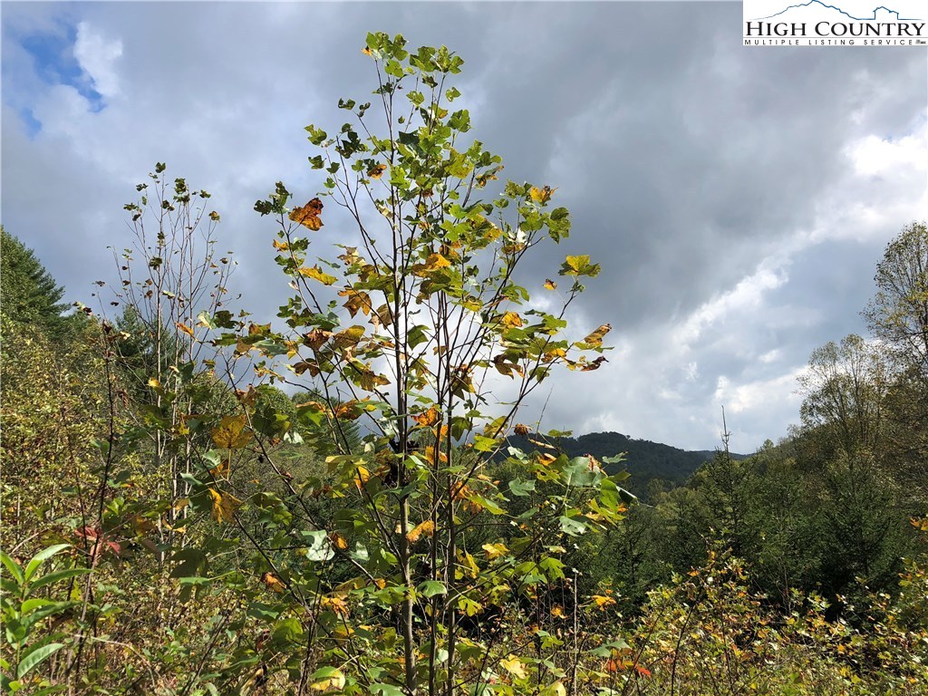 Townsend Trail Boone, NC 28607 - Photo 27 of 35 Gallery Image 27