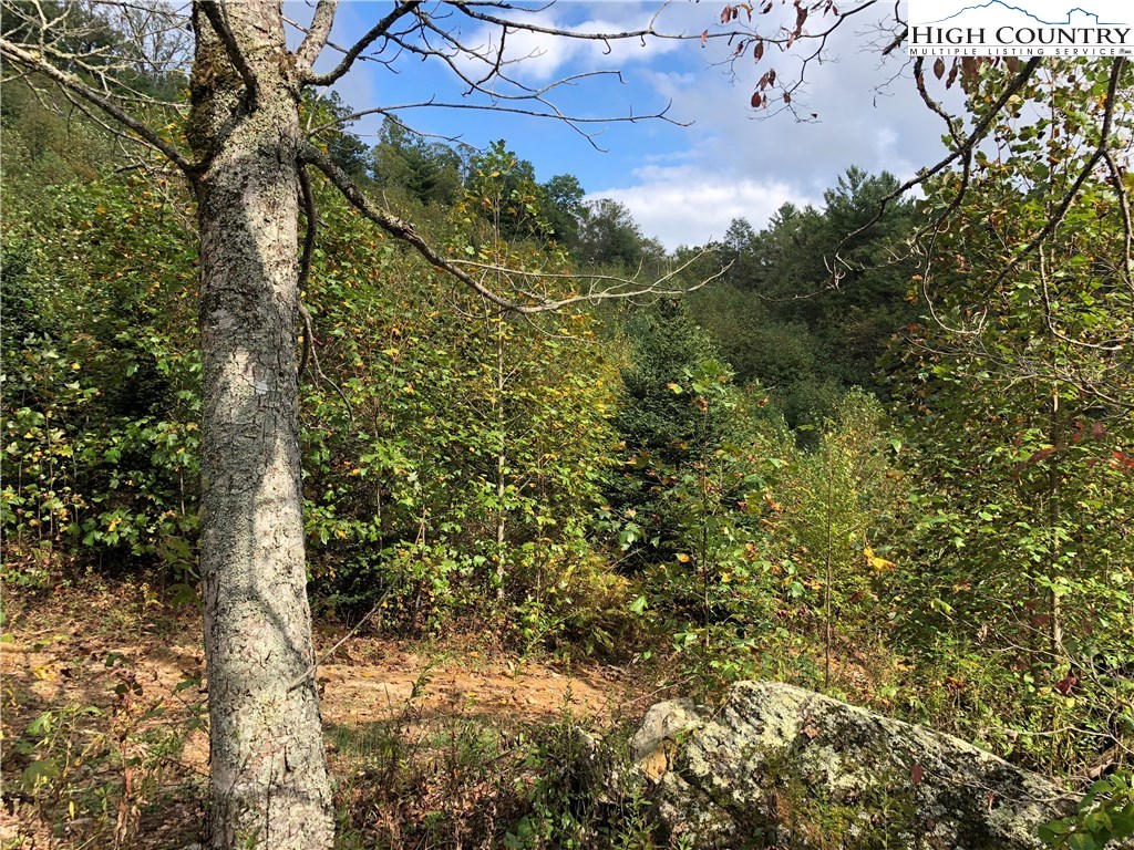Townsend Trail Boone, NC 28607 - Photo 29 of 35 Gallery Image 29