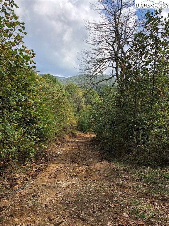 Townsend Trail Boone, NC 28607 - Photo 10 of 35 Gallery Image 10