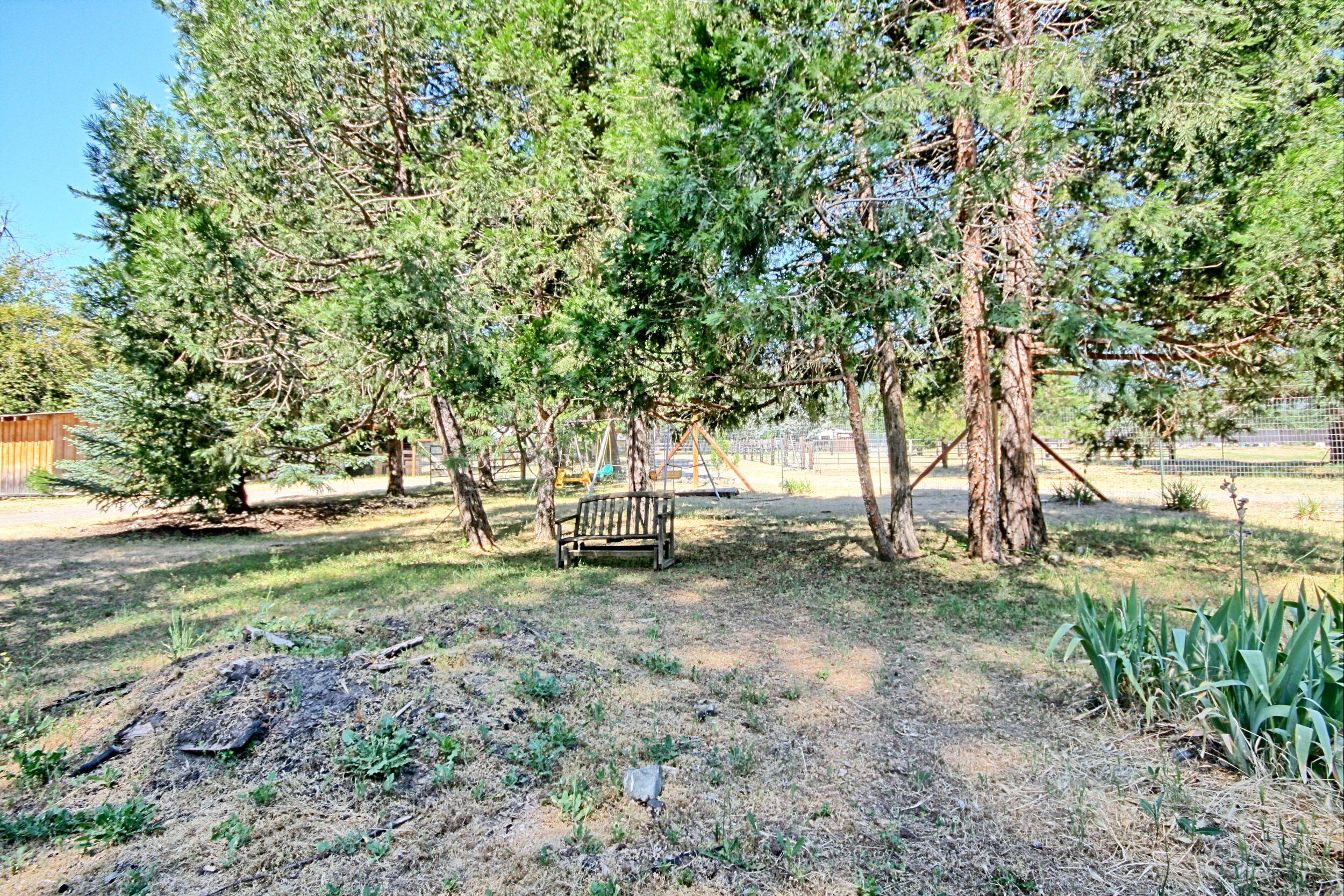 199 Powell Creek Road Williams, OR 97544 - Photo 44 of 57 a view of a yard with a tree