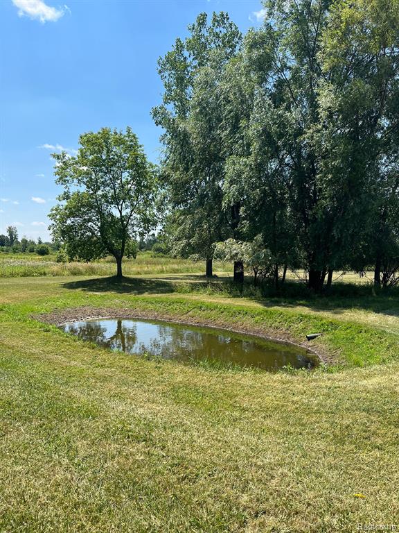 9443 Norman Road Avoca, MI 48006 - Photo 39 of 42