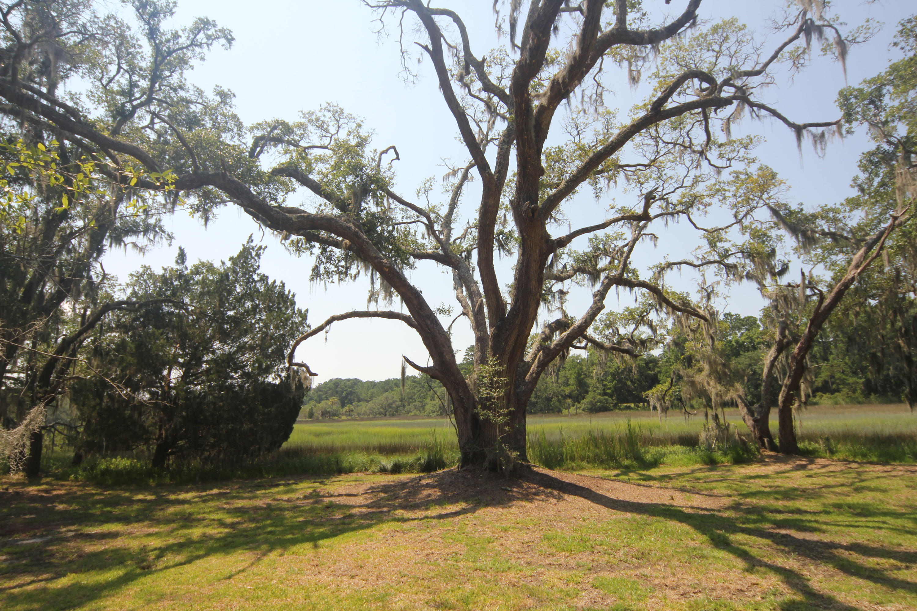 2496 Laurel Hill Road Edisto Island, SC 29438 - Photo 18 of 26 2496