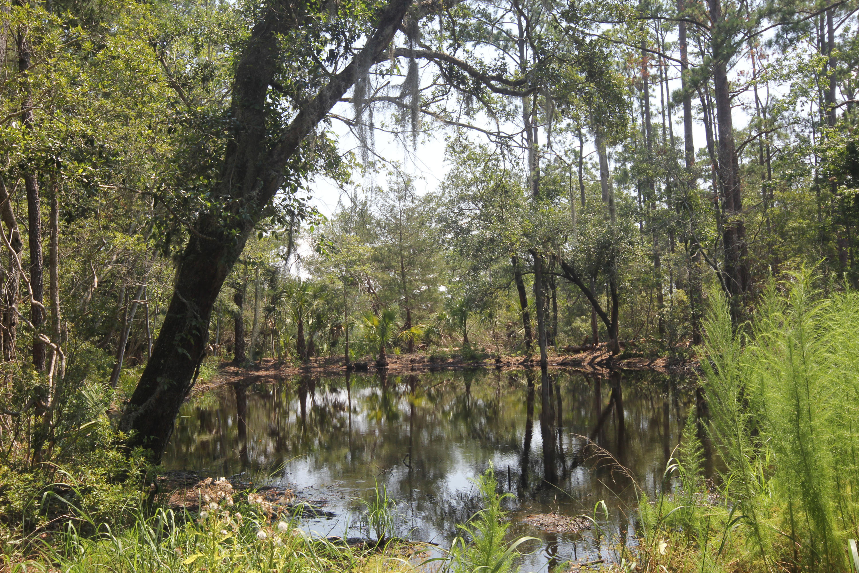 2496 Laurel Hill Road Edisto Island, SC 29438 - Photo 22 of 26 2496