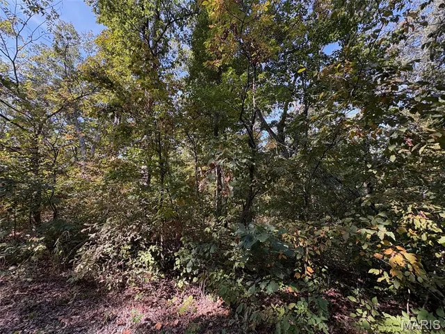 $9,400 | Lot 95 Deer Run Trail, New Florence, MO 63363