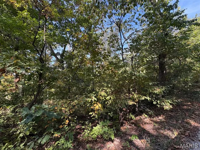 $9,400 | Lot 95 Deer Run Trail, New Florence, MO 63363
