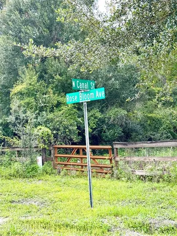 a backyard of a house with swimming pool and trees