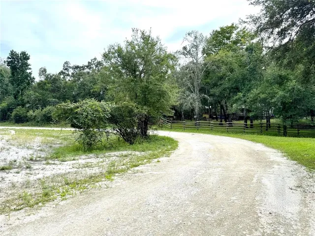 a view of a park with large trees