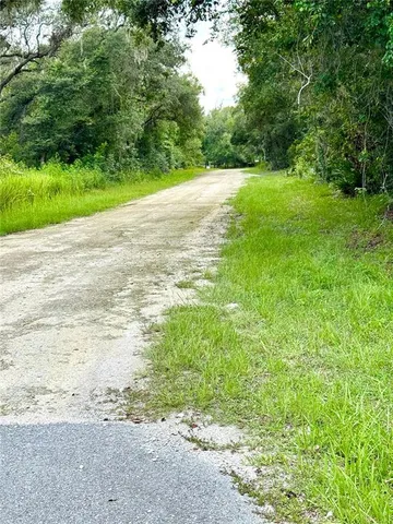 a view of a field with an trees