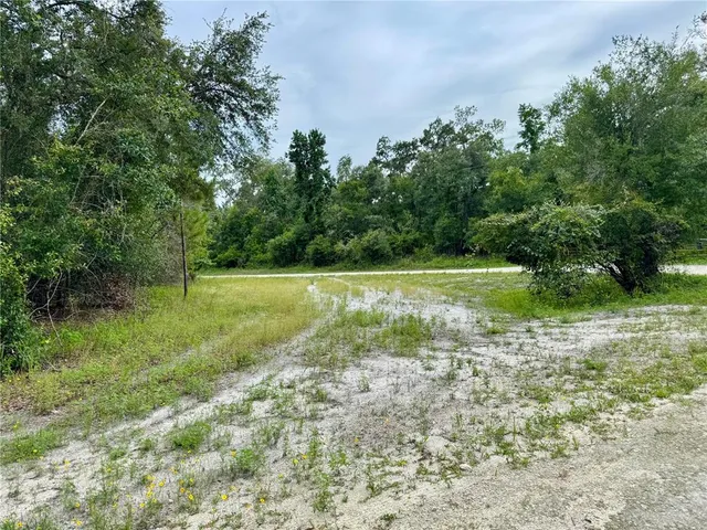 a view of a field with trees in the background